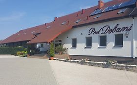 Dom Pod Dębami